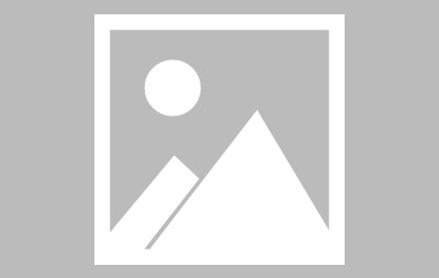 九游官方网页 -夏洛特黄蜂队球员名单