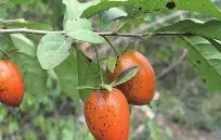 九游体育官网 -W骿?烍4柿冗覉糏屉\藘]d