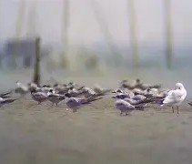 九游网页版入口 -entertainment中文翻译